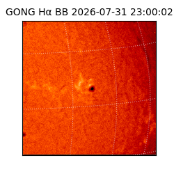 gong - 2026-07-31T23:00:02