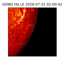 gong - 2026-07-31T02:00:42