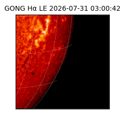 gong - 2026-07-31T03:00:42