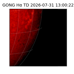gong - 2026-07-31T13:00:22