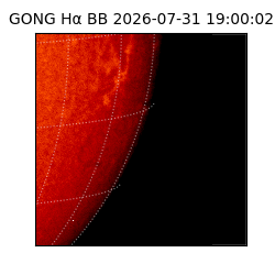 gong - 2026-07-31T19:00:02