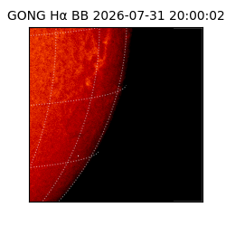 gong - 2026-07-31T20:00:02