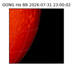 gong - 2026-07-31T23:00:02