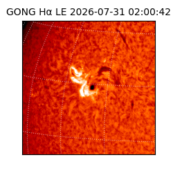 gong - 2026-07-31T02:00:42