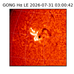 gong - 2026-07-31T03:00:42