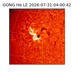 gong - 2026-07-31T04:00:42