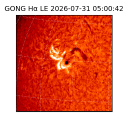 gong - 2026-07-31T05:00:42