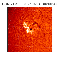 gong - 2026-07-31T06:00:42
