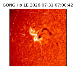 gong - 2026-07-31T07:00:42
