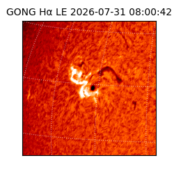 gong - 2026-07-31T08:00:42