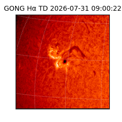 gong - 2026-07-31T09:00:22