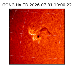gong - 2026-07-31T10:00:22