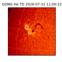 gong - 2026-07-31T11:00:22