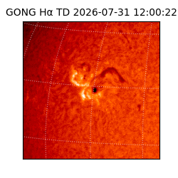 gong - 2026-07-31T12:00:22