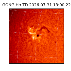 gong - 2026-07-31T13:00:22