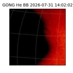 gong - 2026-07-31T14:02:02