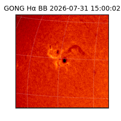 gong - 2026-07-31T15:00:02