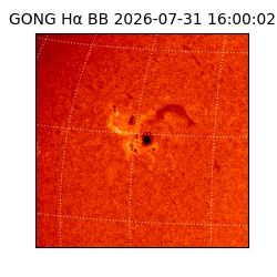gong - 2026-07-31T16:00:02