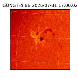 gong - 2026-07-31T17:00:02
