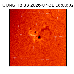 gong - 2026-07-31T18:00:02