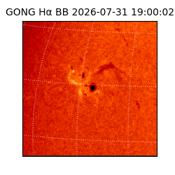 gong - 2026-07-31T19:00:02