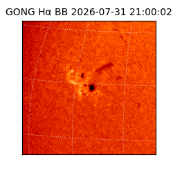 gong - 2026-07-31T21:00:02