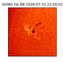 gong - 2026-07-31T22:00:02