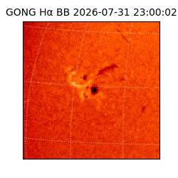 gong - 2026-07-31T23:00:02