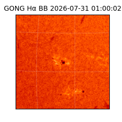 gong - 2026-07-31T01:00:02