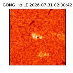 gong - 2026-07-31T02:00:42