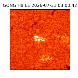 gong - 2026-07-31T03:00:42