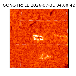 gong - 2026-07-31T04:00:42