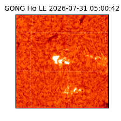 gong - 2026-07-31T05:00:42