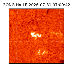 gong - 2026-07-31T07:00:42