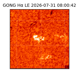 gong - 2026-07-31T08:00:42
