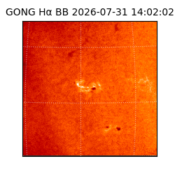 gong - 2026-07-31T14:02:02