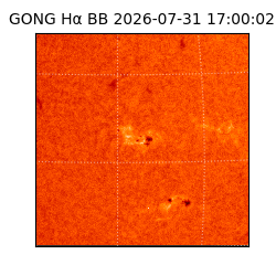gong - 2026-07-31T17:00:02