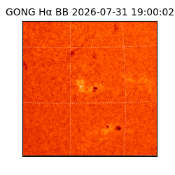 gong - 2026-07-31T19:00:02