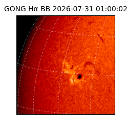 gong - 2026-07-31T01:00:02