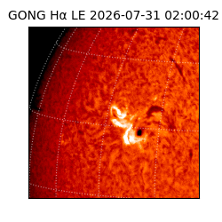 gong - 2026-07-31T02:00:42