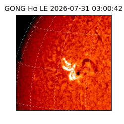 gong - 2026-07-31T03:00:42