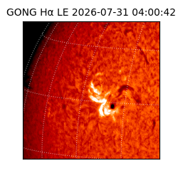 gong - 2026-07-31T04:00:42