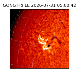gong - 2026-07-31T05:00:42
