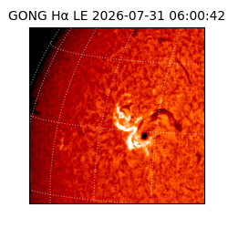 gong - 2026-07-31T06:00:42