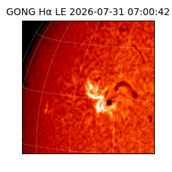 gong - 2026-07-31T07:00:42