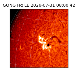 gong - 2026-07-31T08:00:42