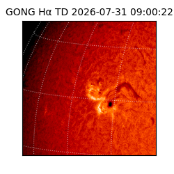gong - 2026-07-31T09:00:22