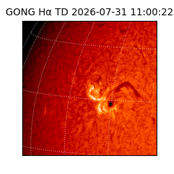 gong - 2026-07-31T11:00:22