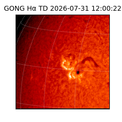 gong - 2026-07-31T12:00:22