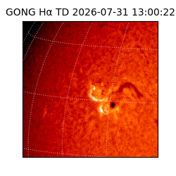 gong - 2026-07-31T13:00:22